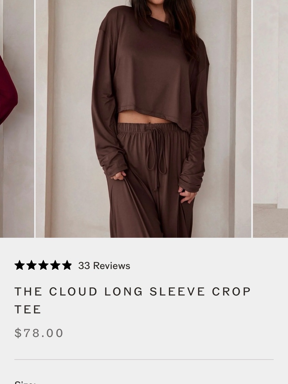 The Cloud Long Sleeve Crop Tee and High Waisted Pants - Brown